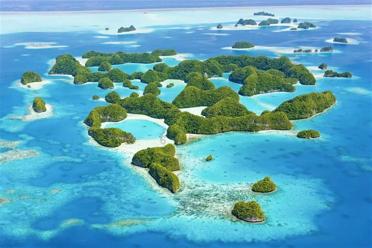 救援蓝鸦