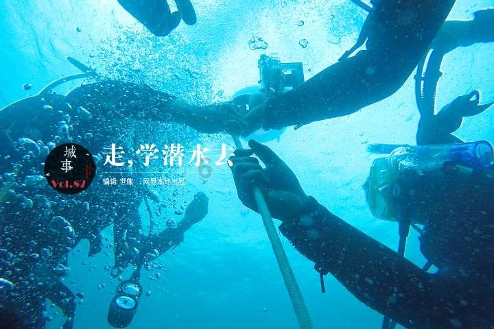 寻找萌宠松鼠