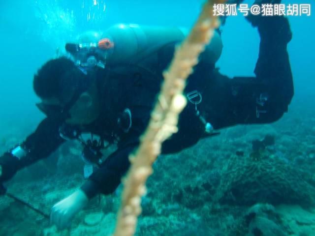 健美大赛